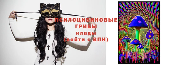 стаф Абинск