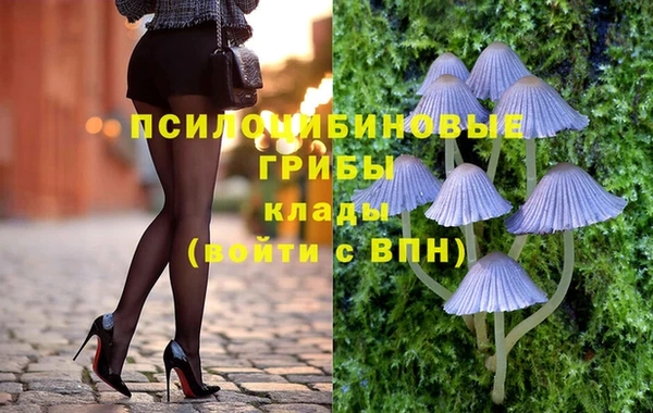 ГАЛЛЮЦИНОГЕННЫЕ ГРИБЫ Алексеевка