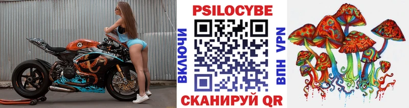 блэк спрут tor  Советская Гавань  Галлюциногенные грибы ЛСД 